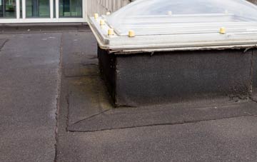 disadvantages of Filby flat roofs